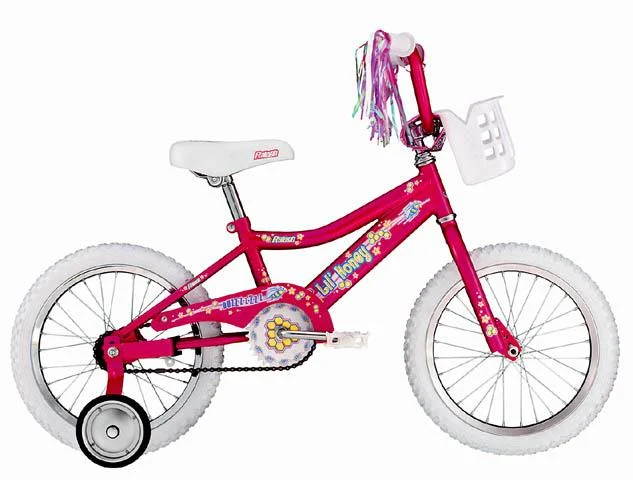 2001 Raleigh Lil' Honey