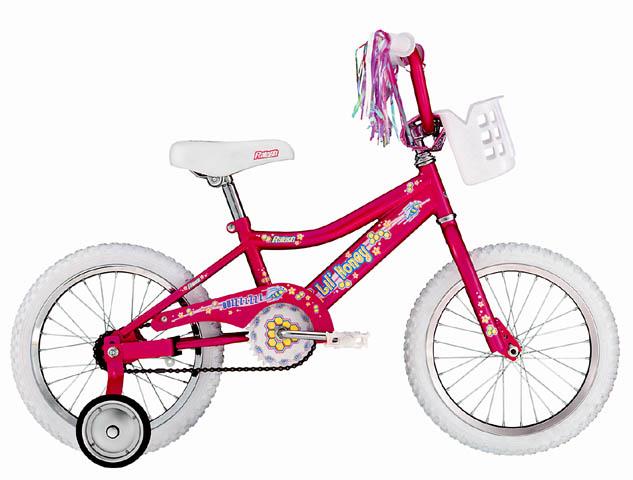 2001 Raleigh Lil' Honey
