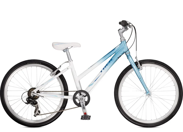 2001 Cherry Cherry Bomb Chorus 10 Speed