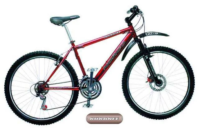 2001 Norco Kokanee