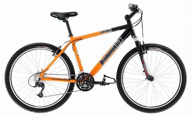 2001 Diamondback Topanga Comp