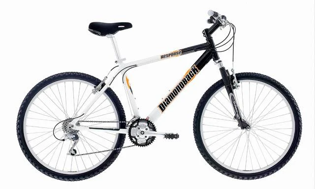 2001 Diamondback Response