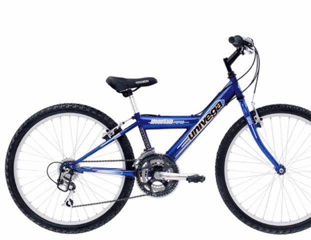 2001 Univega Mountain Force 24