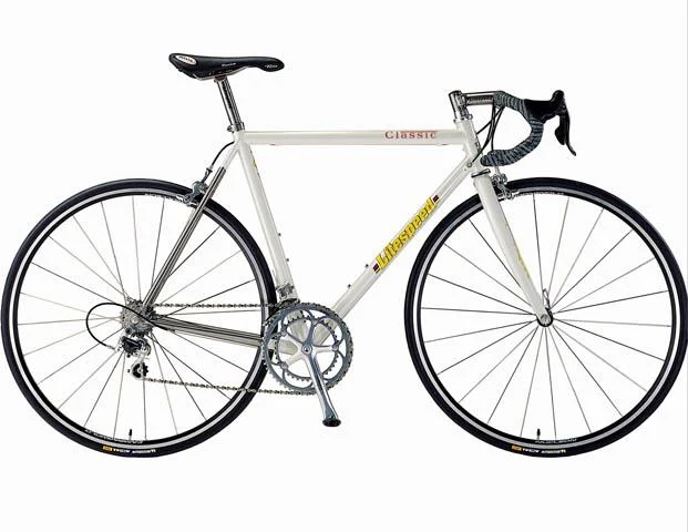 2001 Litespeed Classic (03)