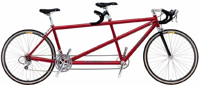 2002 Co-Motion Robusta