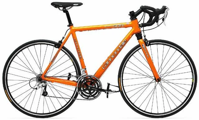 2002 Cannondale Silk Warrior 500