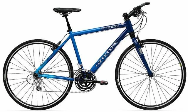 2002 Cannondale Silk Warrior 1000