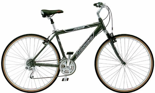 2002 Norco Avanti