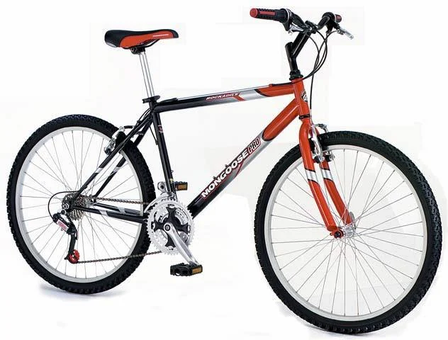 2002 Mongoose Rockadile