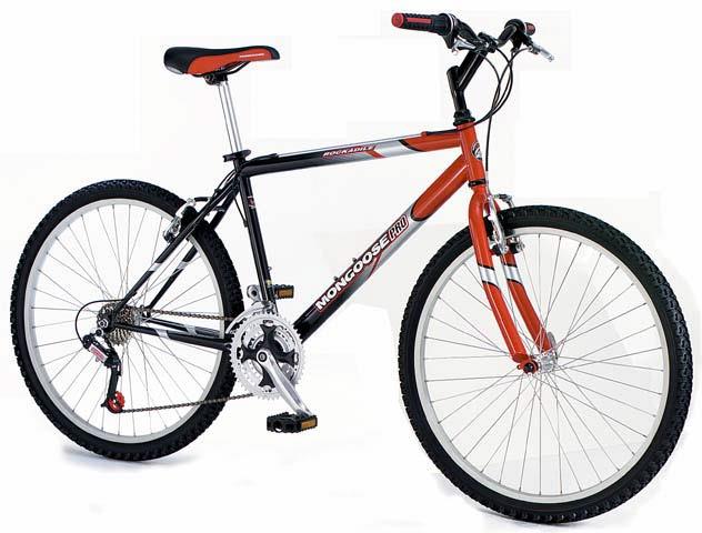 2002 Mongoose Rockadile