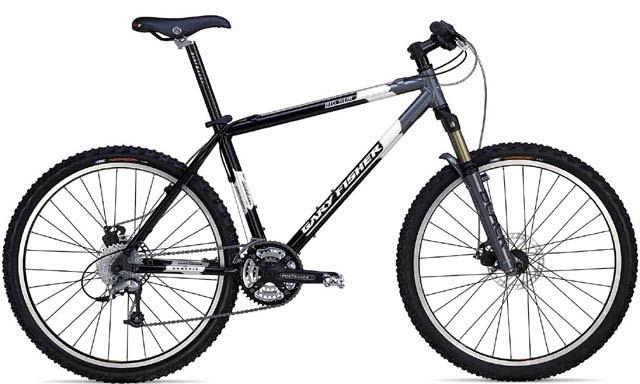 2002 Gary Fisher Big Sur Disc