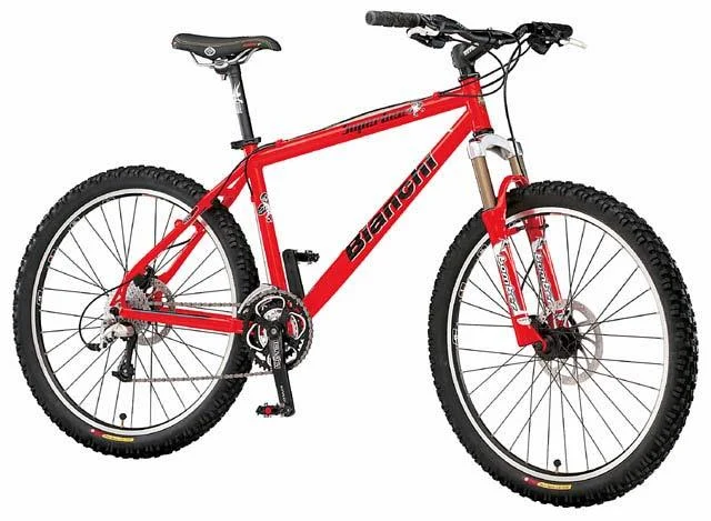 2002 Bianchi SuperBee