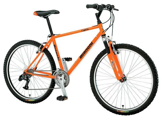 2002 Bianchi Lynx