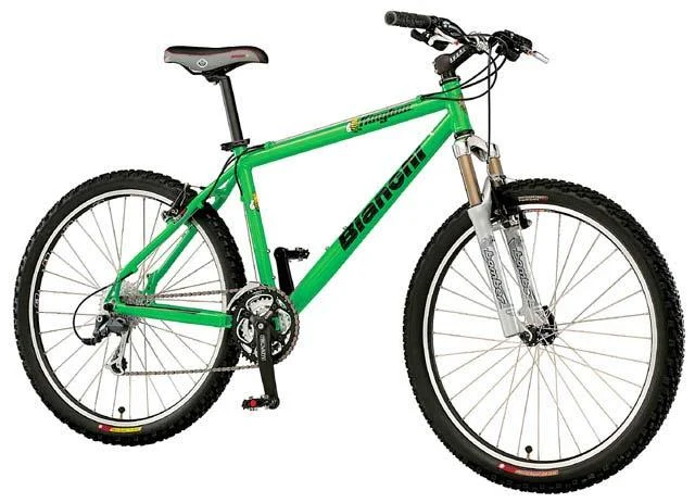 2002 Bianchi KingBee
