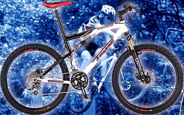 2002 Tomac 98 Special Pro Edition