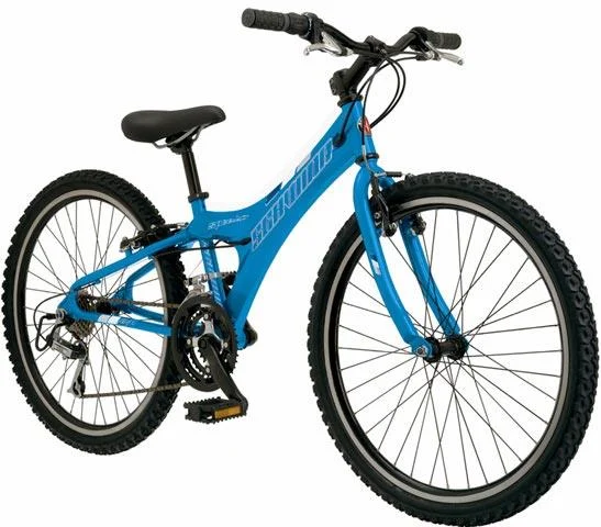 2002 Schwinn Speedster 2.4