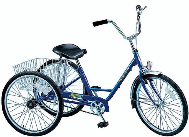 2002 Miami Sun Traditional Trike