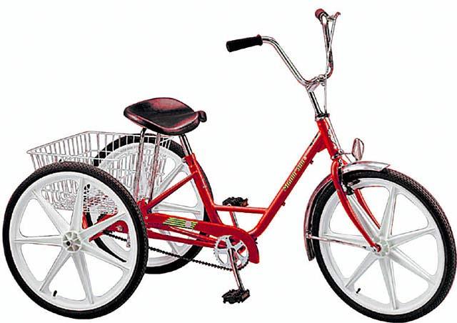 2002 Miami Sun Deluxe Trike
