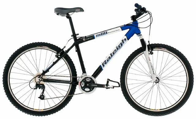2002 Raleigh M60