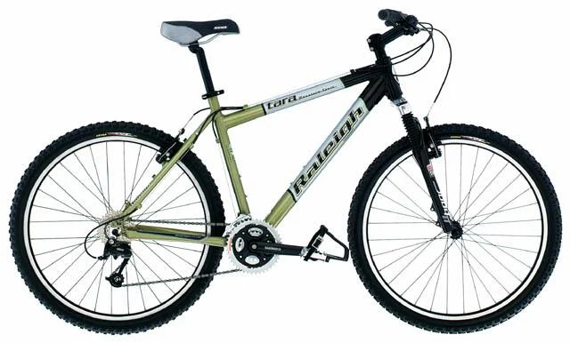 2002 Raleigh Tara