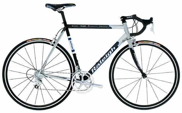2002 Raleigh Professional