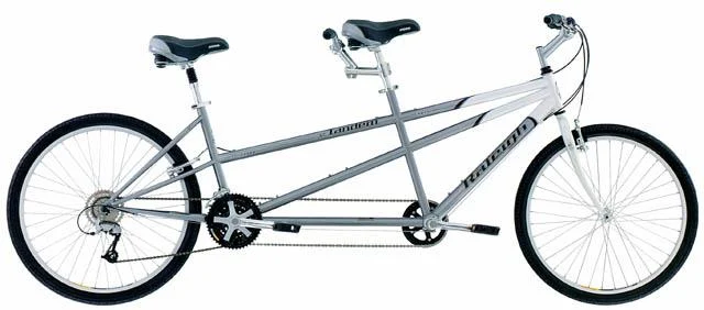 2002 Raleigh SC Tandem