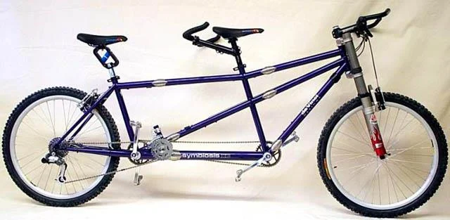 2002 da Vinci Designs Global Symbiosis XC