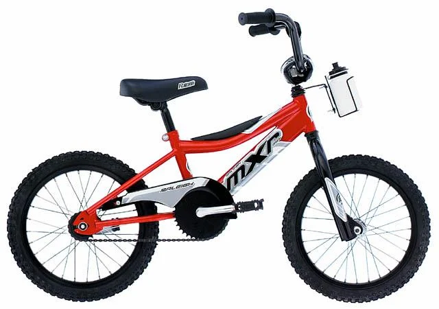 2002 Raleigh MXR Mini