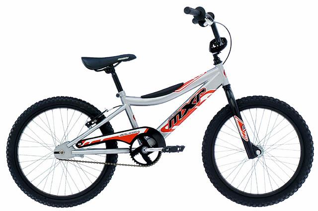 2002 Raleigh MXR