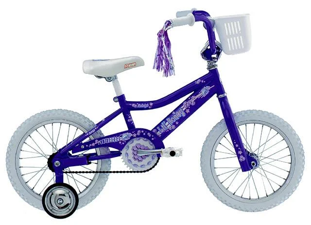 2002 Raleigh Lil' Honey