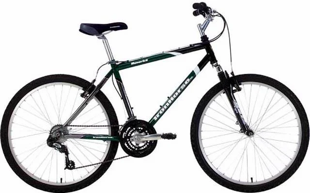 2002 Iron Horse Maverick
