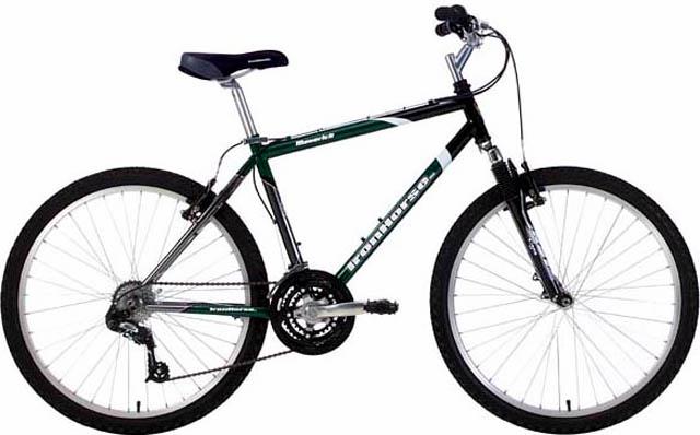 2002 Iron Horse Maverick