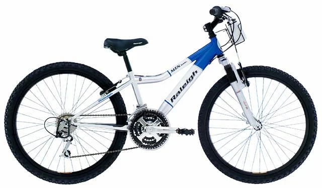 2002 Raleigh Mountain Scout