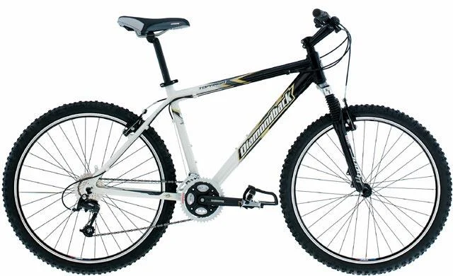 2002 Diamondback Topanga
