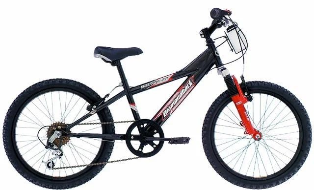 2002 Diamondback Octane 20