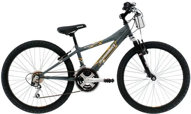2002 Diamondback Octane 24