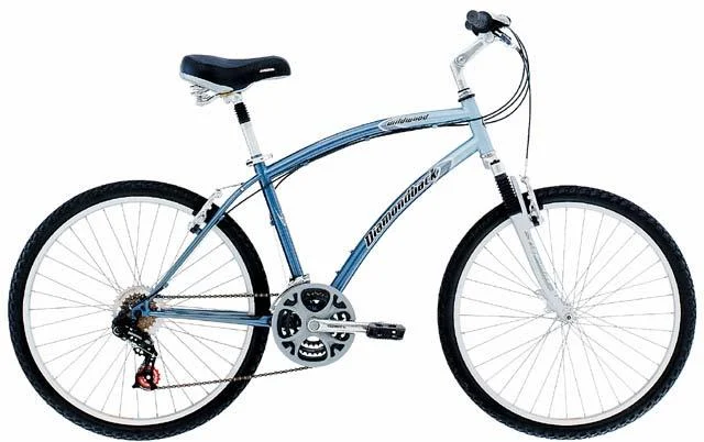 2002 Diamondback Wildwood