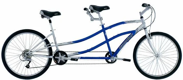 2002 Diamondback Wildwood Tandem
