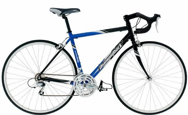 2002 Diamondback Interval