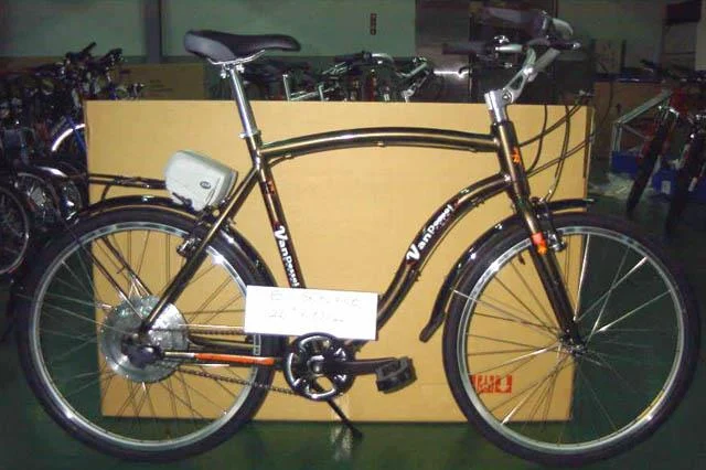 2002 Van Dessel Cycles Electric Skyline
