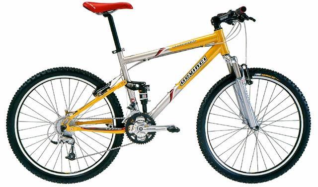 2002 Devinci Arrowhead