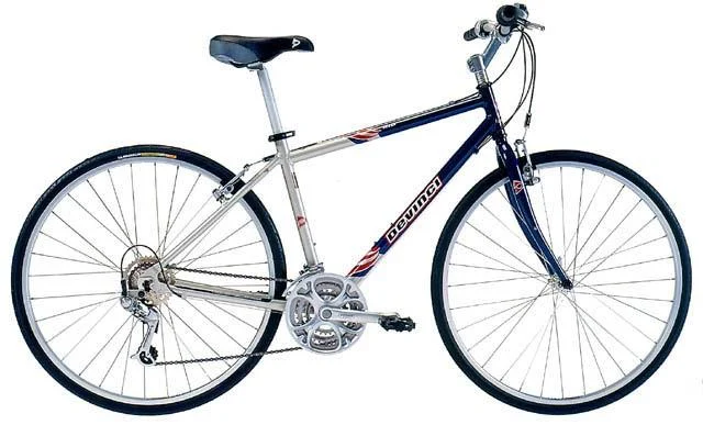 2002 Devinci Rio