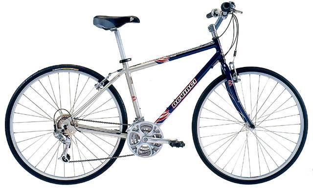 2002 Devinci Rio