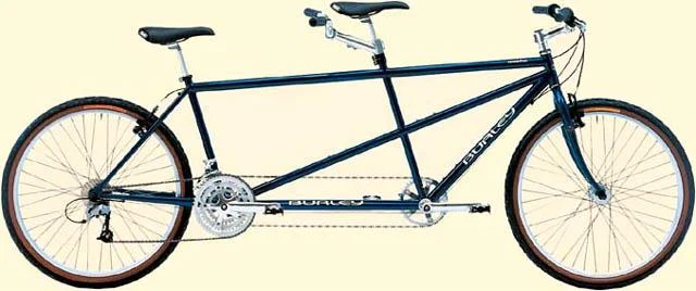 2002 Burley Samba