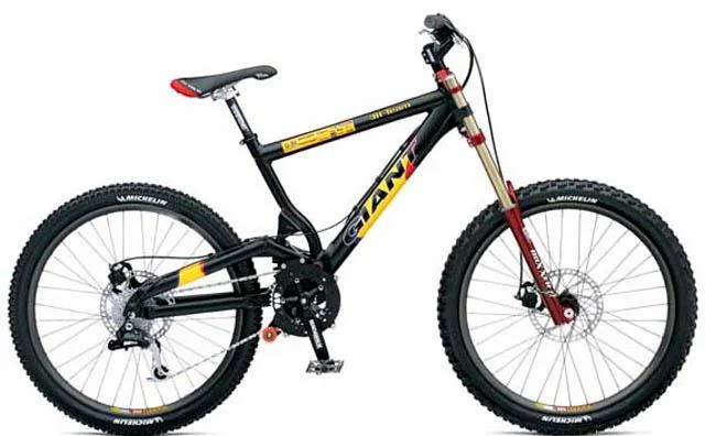 2002 Giant DH-Team