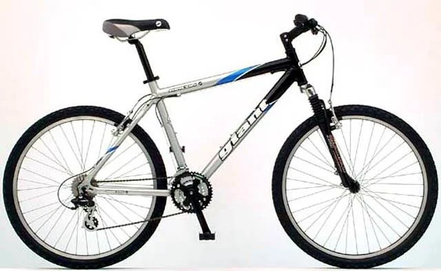 2002 Giant Rincon