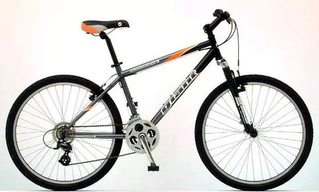 2002 Giant Boulder SE