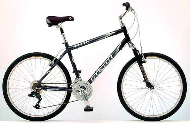 2002 Giant Sedona DX