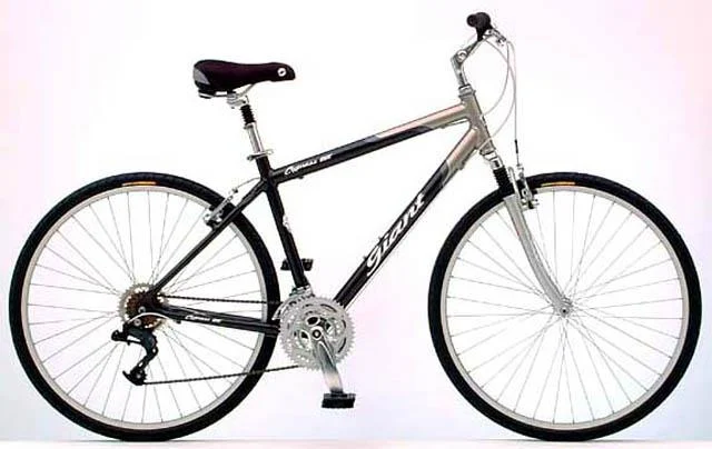 2002 Giant Cypress DX