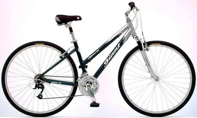 2002 Giant Cypress LX